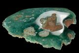Polished Mtorolite (Chrome Chalcedony) - Zimbabwe #128368-2